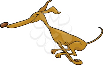 Cartoon Illustration of Funny Purebred Running Greyhound Dog