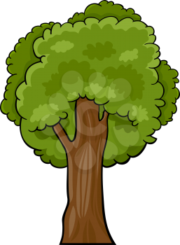Cartoon Illustration of Green Deciduous Tree or Oak, Beech or Maple