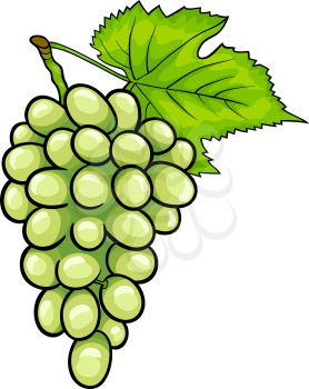 Cartoon Illustration of Bunch of White or Green Grapes or Grapevine Fruit Food Object