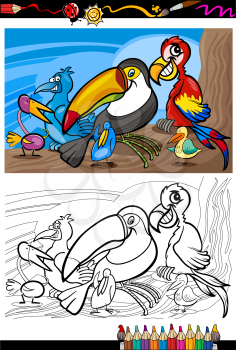Coloring Book or Page Cartoon Illustrations of Funny Exotic Birds Mascot Characters Group for Children