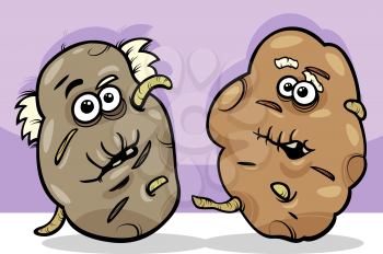 Cartoon Illustration of Funny Comic Old or Senior Potatoes Vegetable Food Characters
