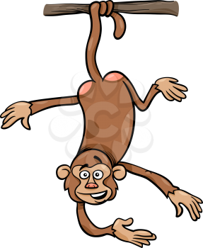 Cartoon Illustration of Funny Monkey on the Branch on Tail