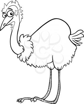 Black and White Cartoon Illustration of Funny Emu Ostrich Bird Animal for Coloring Book