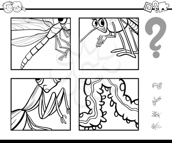 Black and White Cartoon Illustration of Educational Activity Game of Guessing Insects for Children Coloring Page