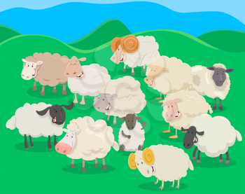 Cartoon Illustration of Flock of Sheep Farm Animal Characters