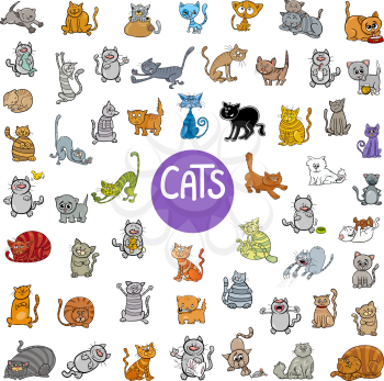 Cartoon Illustration of Cats Pet Animal Characters Big Set