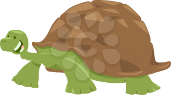 Cartoon Illustration of Funny Turtle or Tortoise Animal Character