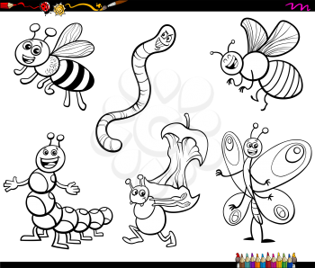 Black and White Cartoon Illustration of Funny Insects Animal Characters Set Coloring Book Page