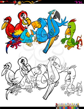 Cartoon Illustration of Parrot Birds Animal Characters Group Coloring Book Activity