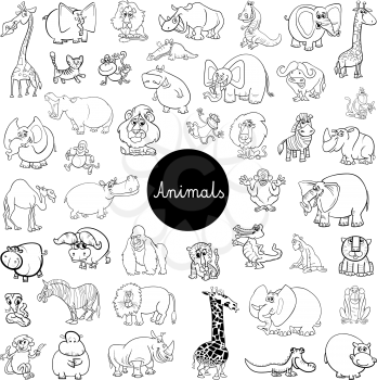 Black and White Cartoon Illustration of Wild Animal Characters Big Set Coloring Book