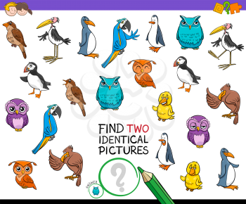 Cartoon Illustration of Finding Two Identical Pictures Educational Game for Children with Birds Animal Characters