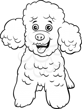 Black and white cartoon illustration of toy poodle purebred dog animal character coloring book page