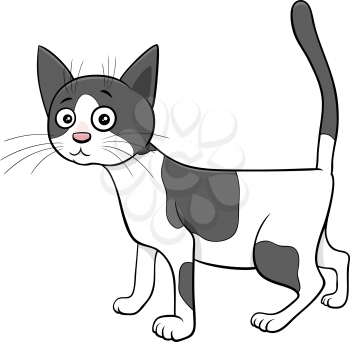 Cartoon Illustration of Spotted Cat or Kitten Comic Animal Character