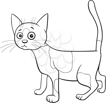 Black and White Cartoon Illustration of Spotted Cat or Kitten Comic Animal Character Coloring Book Page