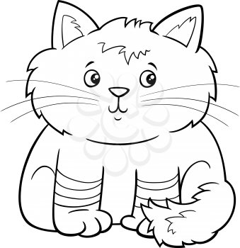 Black and white Cartoon illustration of cute fluffy kitten comic animal character coloring book page