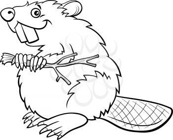 Black and white cartoon illustration of funny beaver wild animal character coloring book page