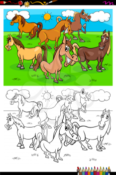 Cartoon Illustration of Funny Horses Farm Animal Characters Coloring Book Activity