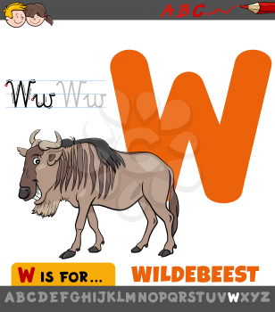 Educational Cartoon Illustration of Letter W from Alphabet with Wildebeest Animal Character for Children 