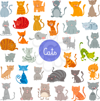 Cartoon Illustration of Funny Cats and Kittens Pet Animal Characters Large Set