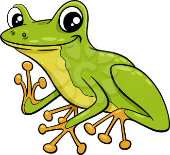 Cartoon illustration of cute little tree frog comic animal character