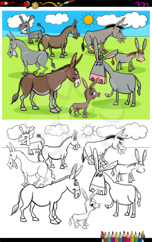 Cartoon Illustration of Funny Donkeys Farm Animal Characters Coloring Book Activity