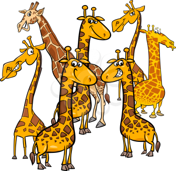 Cartoon Illustration of Funny Giraffes Animal Characters Group