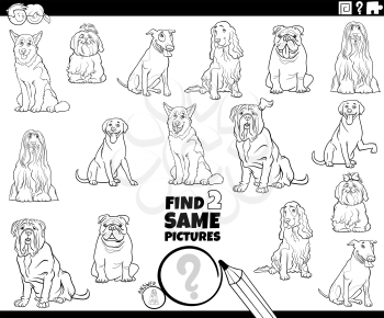 Pictures Clipart