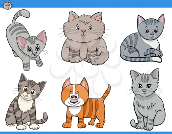Cartoon illustration of cats and kittens animal characters set