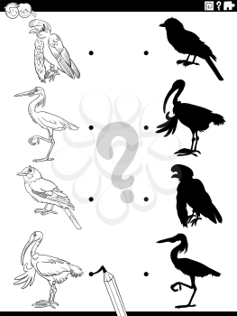 Black and white cartoon illustration of match the right shadows with pictures educational game for children with birds animal characters coloring book page