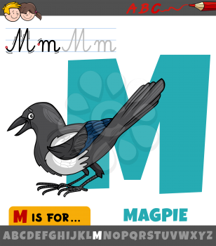 Educational cartoon illustration of letter M from alphabet with magpie bird animal character