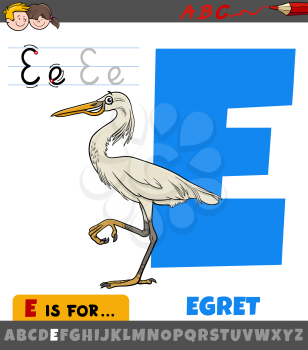 Educational cartoon illustration of letter E from alphabet with egret bird animal character