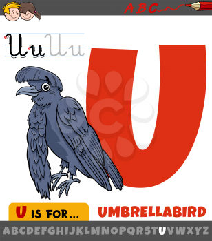 Educational cartoon illustration of letter U from alphabet with umbrellabird animal character