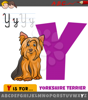 Educational cartoon illustration of letter Y from alphabet with Yorkshire Terrier dog animal character