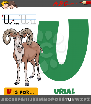 Educational cartoon illustration of letter U from alphabet with urial animal character