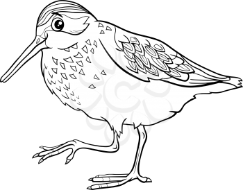 Black and white cartoon illustration of funny western sandpiper bird comic animal character coloring book page