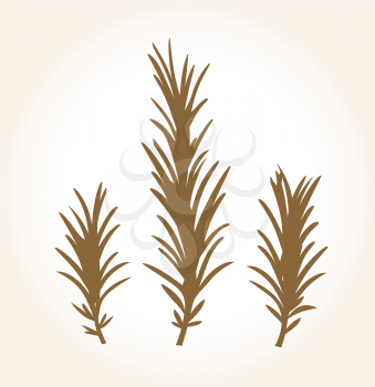 Royalty Free Clipart Image of Rosemary