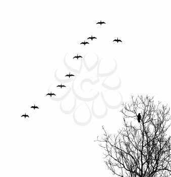 Royalty Free Clipart Image of Birds in the Sky