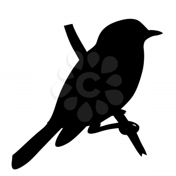 Royalty Free Clipart Image of a Bird Silhouette