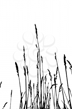 Royalty Free Clipart Image of a Nature Background