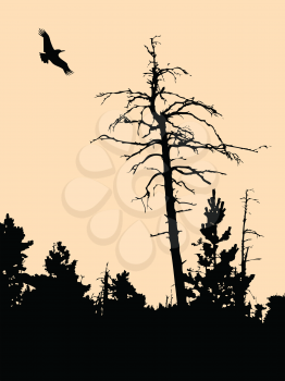 Royalty Free Clipart Image of a Bird Flying Around a Tree