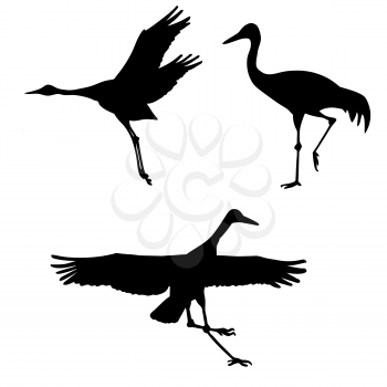 Royalty Free Clipart Image of Crane Silhouettes