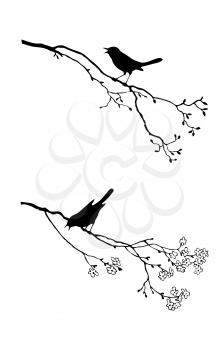 Royalty Free Clipart Image of Birds on Tree Branches