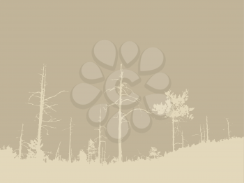 Royalty Free Clipart Image of a Forest Background