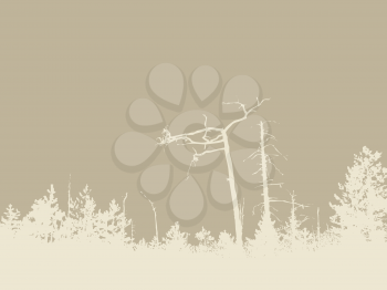 Royalty Free Clipart Image of a Forest Background