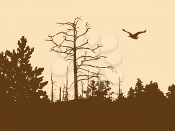 Royalty Free Clipart Image of a Forest