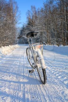 old bicycle on winter road