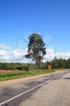 oak near roads