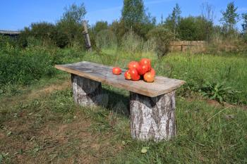 ripe tomatoes on wooden bench