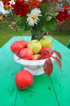 autumn still life on green table in garden