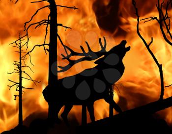 illustration of the deer running away from fire in wood